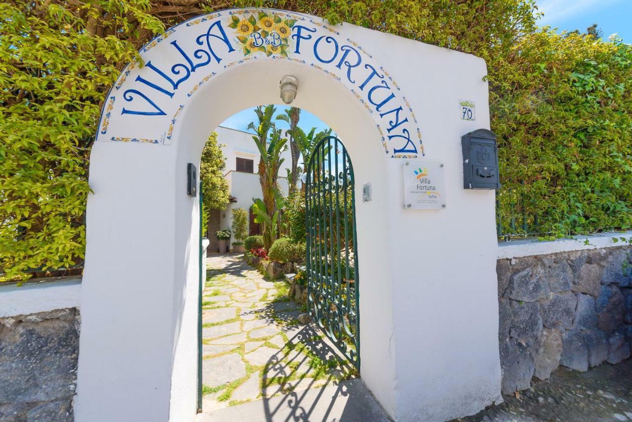 Villa Fortuna Holiday Resort Ischia Exterior photo